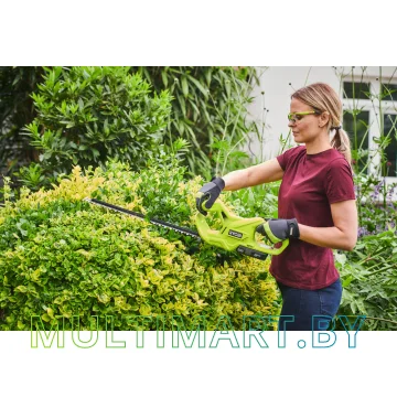 Кусторез Ryobi RY18HT40A-113 (с 1-им АКБ) картинка 9